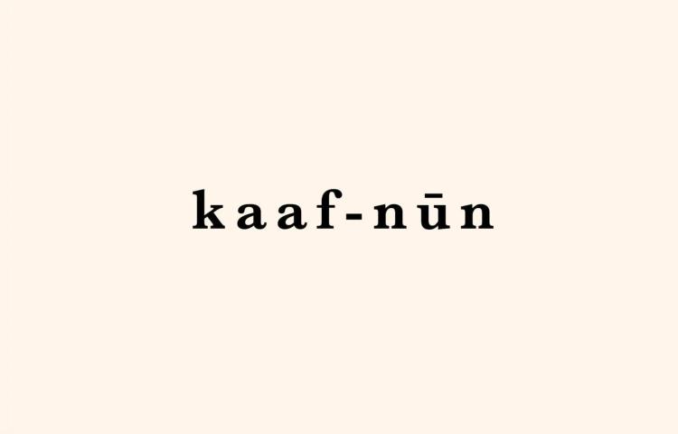 fundraiser profile